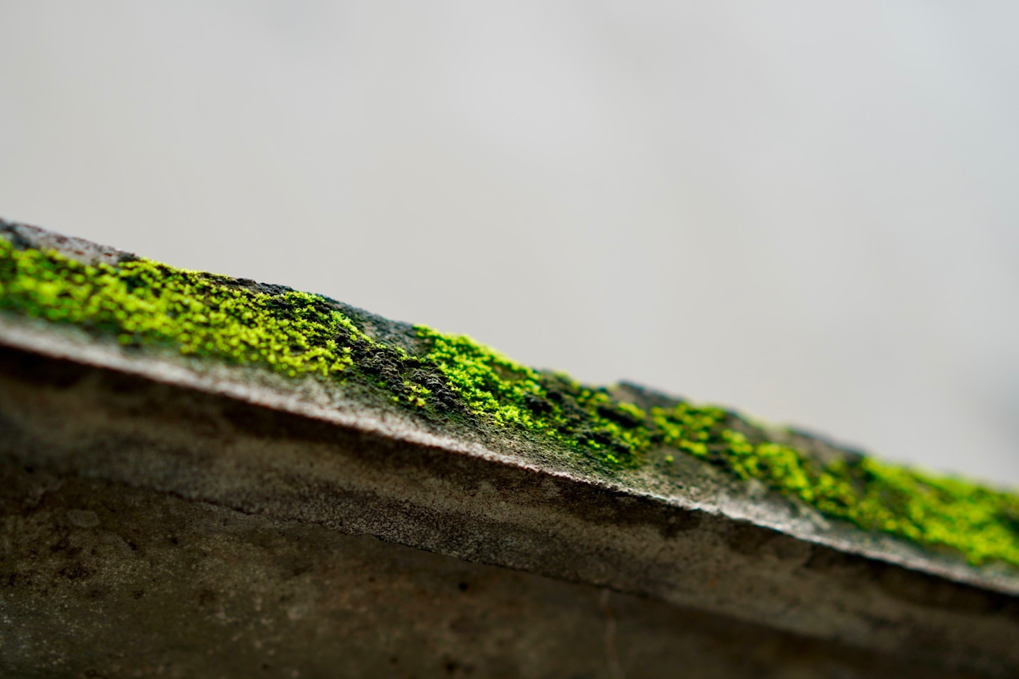 De vanligaste misstagen vid takrengöring